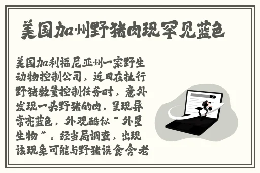 海角社区网页